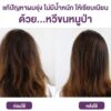 หวีแปรงขนหมูป่าผสมไนลอน สีน้ำตาล นำเข้าจากประเทศอเมริกา Smooth Blends Boar Ceramic Oval